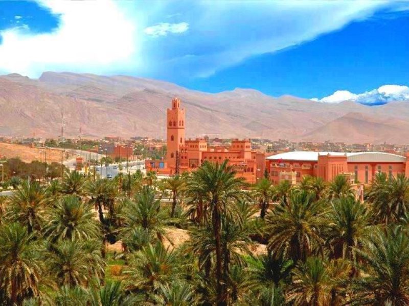 Desert trip and Tours
