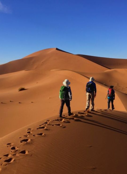 Desert trip and Tours