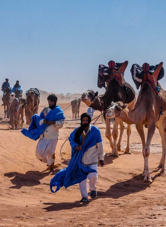 Desert trip and Tours
