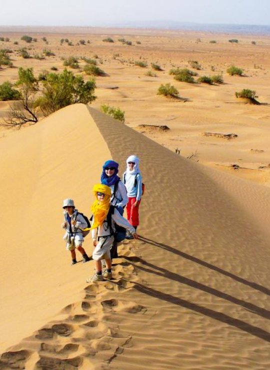 Desert trip and Tours