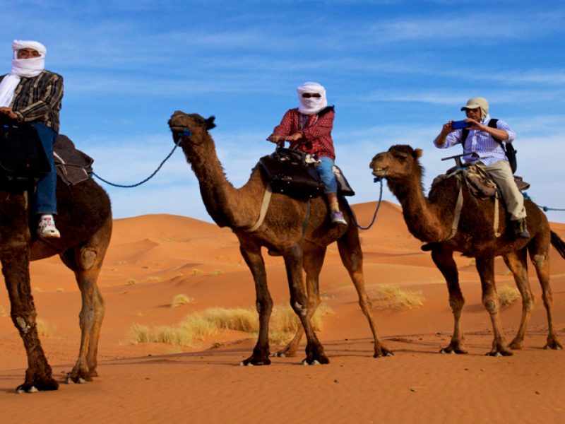 Desert trip and Tours