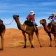 Desert trip and Tours