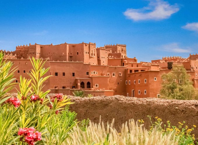 Desert trip and Tours