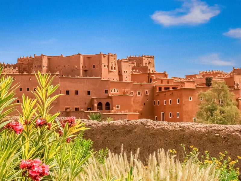 Desert trip and Tours